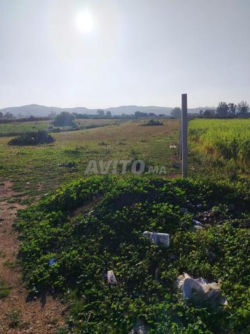 Terrain agricole - 2
