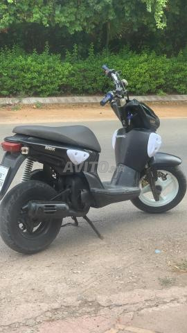 Stunt plack - 2