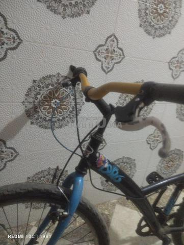 Vélo 1986 entre - 2