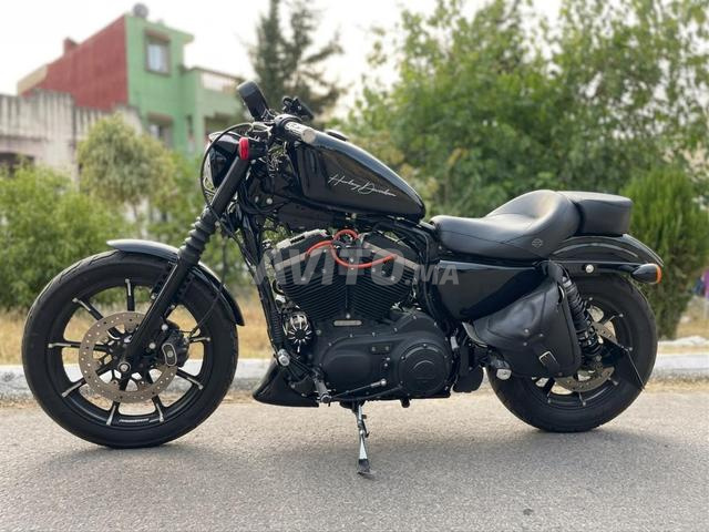 Harley-Davidson Iron 883 modèle 2019 - 2