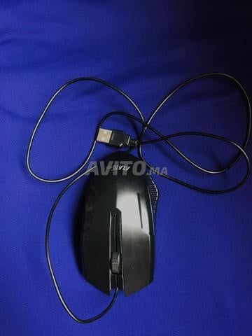 الفأرة تعمل ممتازة للاستخدام