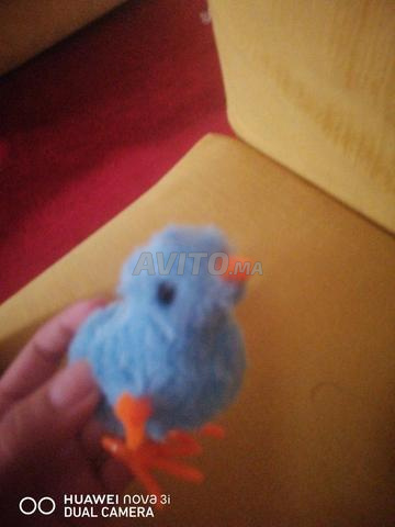 Oiseau bleu