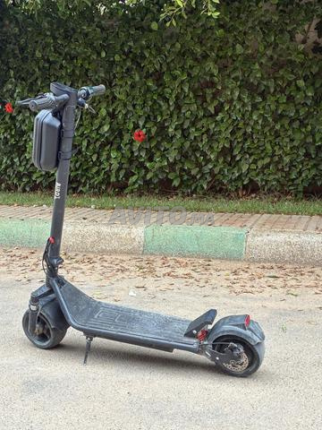 Trottinette électrique Bird C90 - Berkane - 2