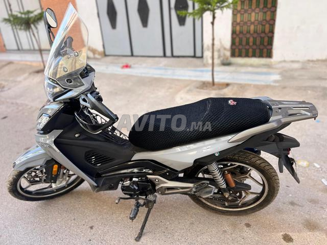 Scooter Spring - 2