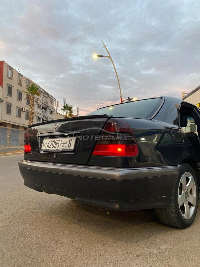 mercedes. w202