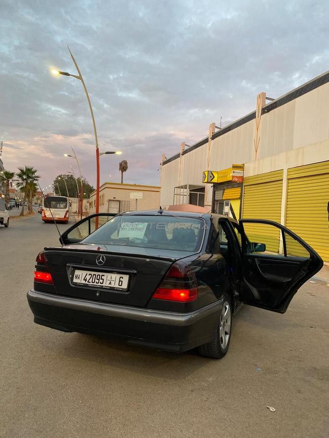 mercedes. w202
