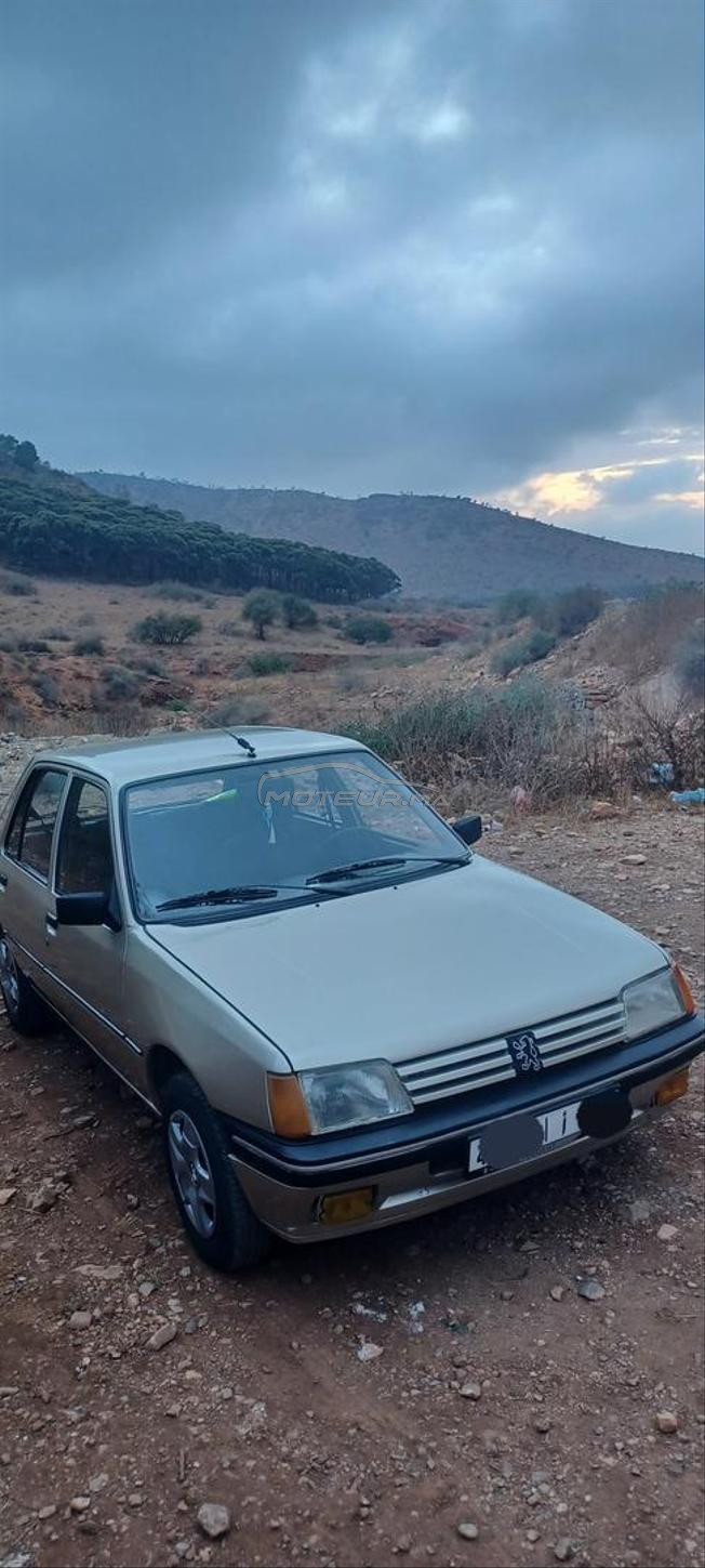 Peugeot 205