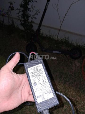 Trottinette Pro2 avec son chargeur - 2