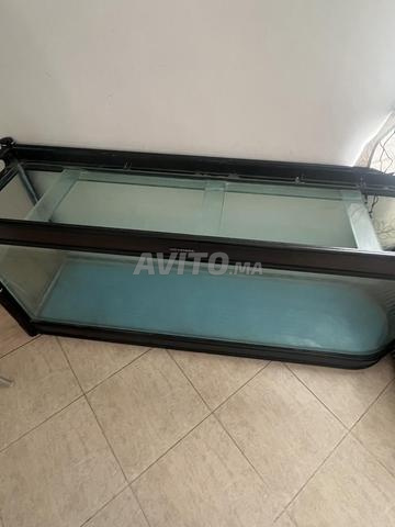 حوض سمك جميل وما زال جديدًا