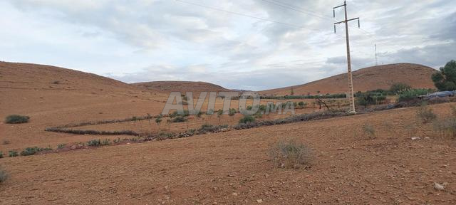 Terrain agricole très proche de la zone urbaine