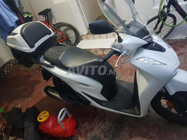 Sh 125 toute option double contact - 2