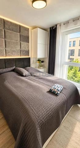 Appartement à louer à Palmier - 2