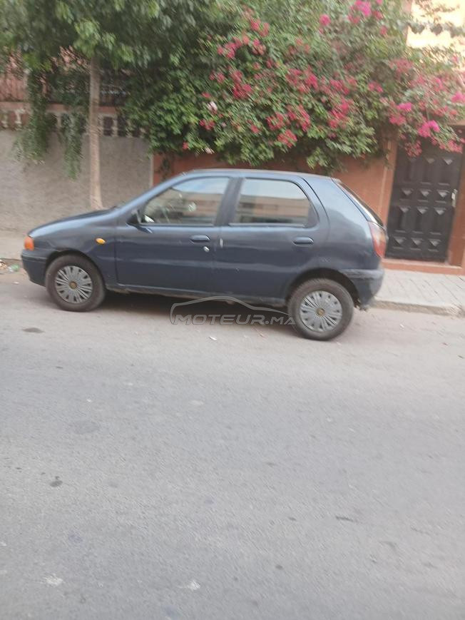 fiat palion 