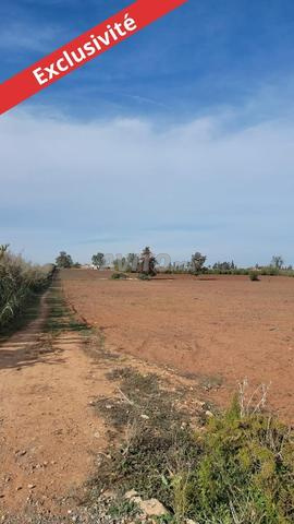 Vente Terrain nu à Temara