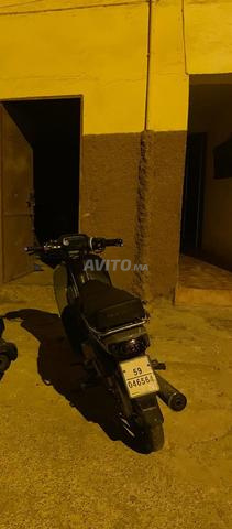 C50 موديل 2025 - 2