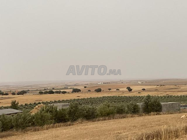 بيع مزرعة مجهزة بمنزل بداخلها - 2