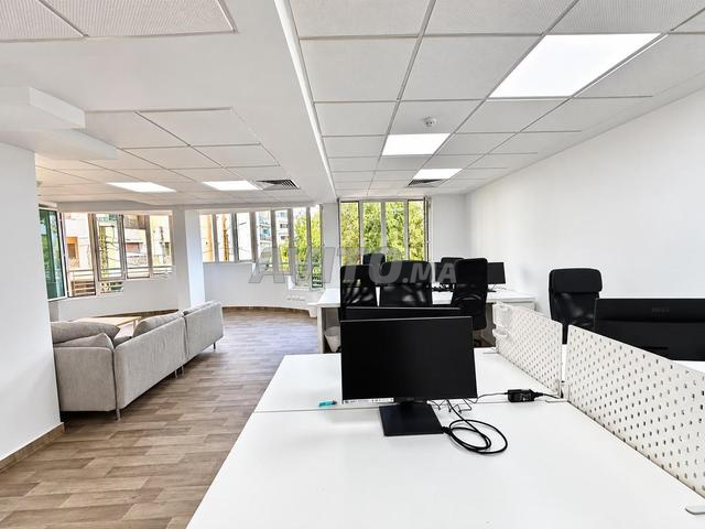 PLATEAU DE BUREAU 240M RACINE  - 2