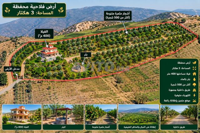 3 hectares et villa à vendre