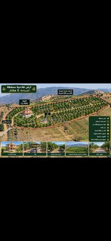 3 hectares et villa à vendre - 2