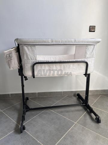 Cododo bébé - 2
