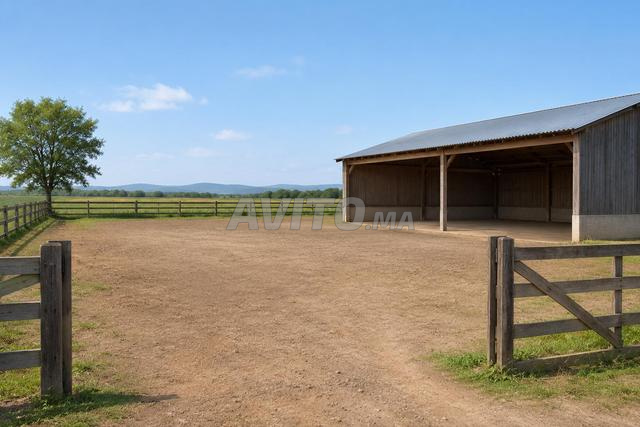 Ferme à louer - Terrain à louer