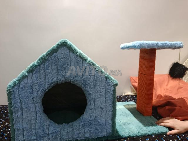 بيت مريح للقطط - 2