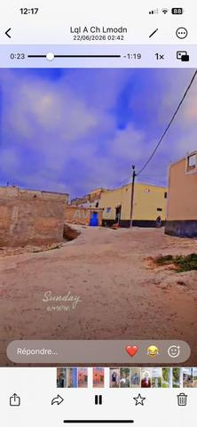 Alisson traditionnelle - 2