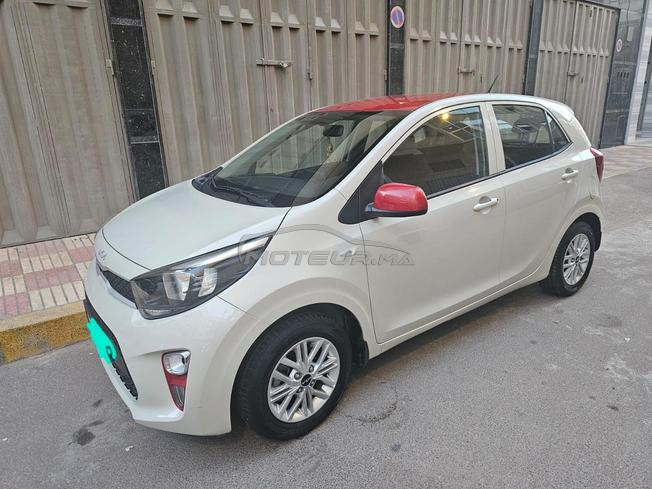 kia picanto 