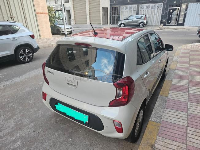 kia picanto 
