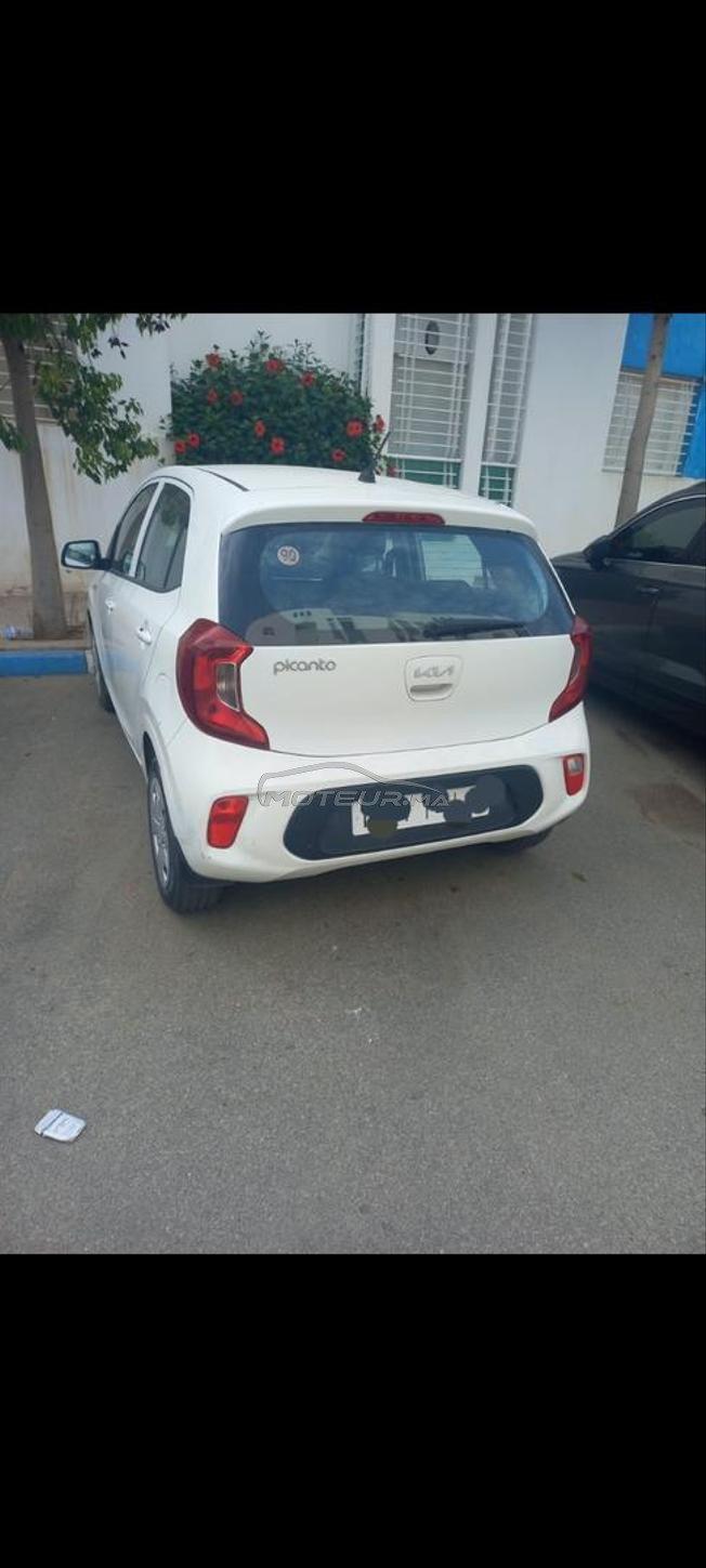 Kia Picanto Essence Manuelle 2022 à Martil
