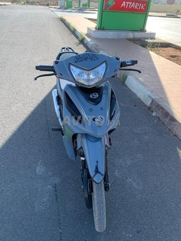 Moto