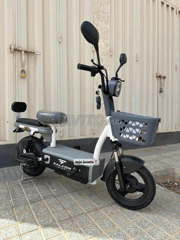 Scooter électrique FALCON RIDE 48V - 2
