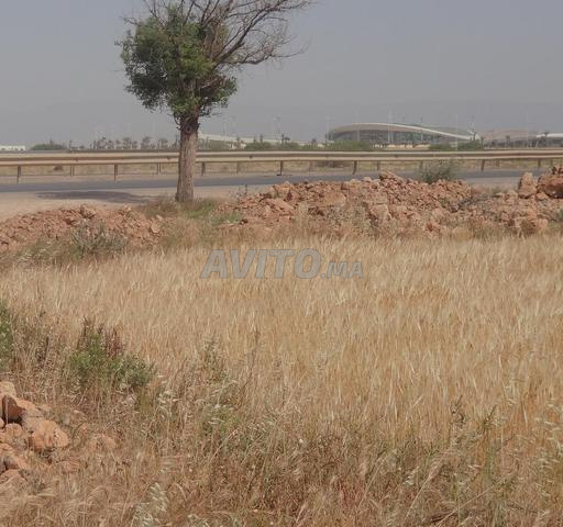 À VENDRE – TERRAIN DE 3,35 HECTARES À OUJDA