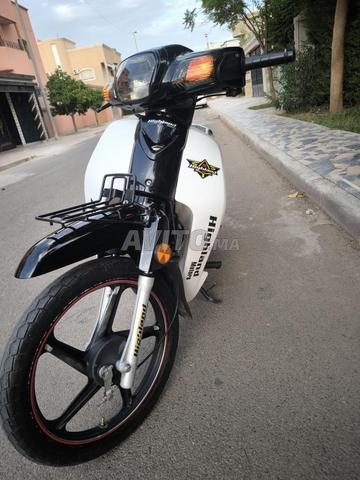 100c هايابوسا لاند - 2