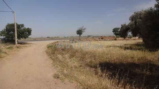 À VENDRE – TERRAIN DE 3,35 HECTARES À OUJDA - 2