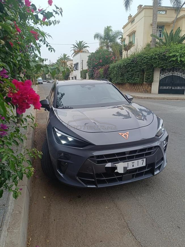 Cupra Terramar première main carte grise
