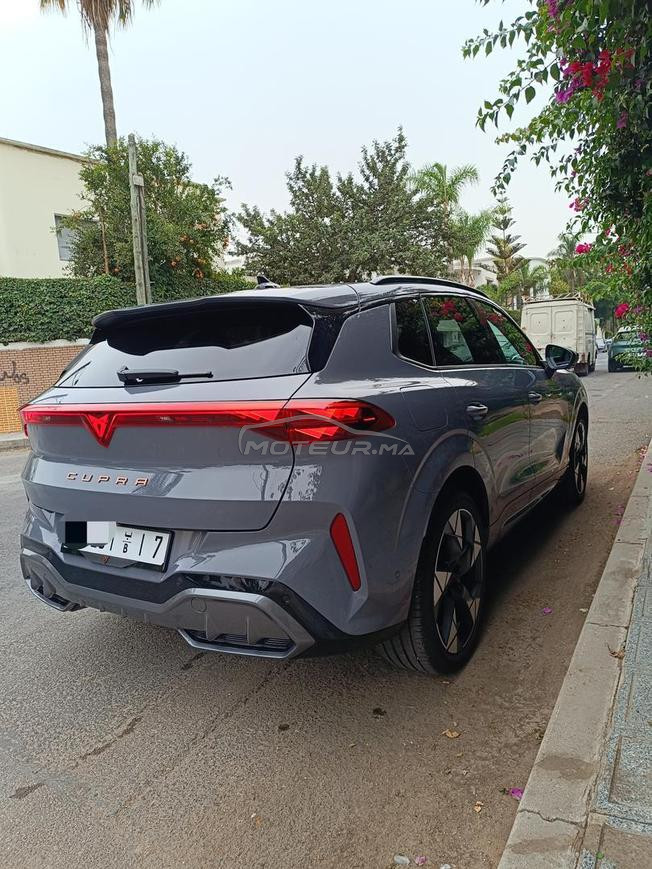 Cupra Terramar première main carte grise