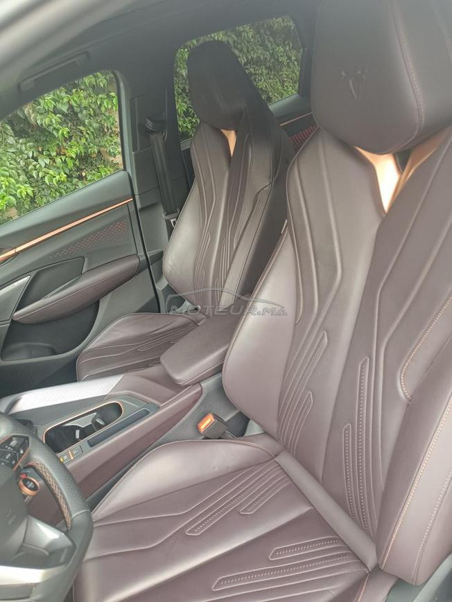 Cupra Terramar première main carte grise