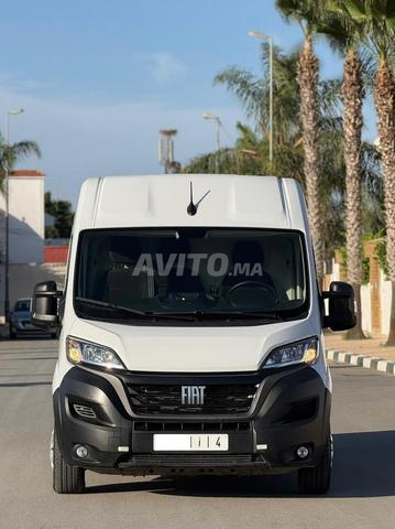 Fiat ducato 2024 à Salé - 2