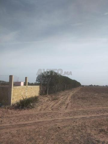 Vente terrain - 2