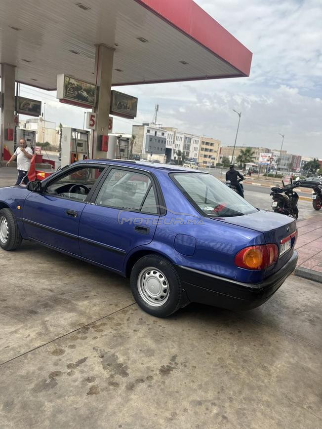daroua casa blanca