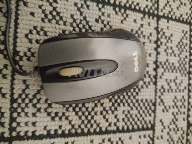 Souris DELL - 2