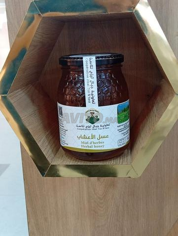 Coopérative Jbal Tzid Ntst - 2