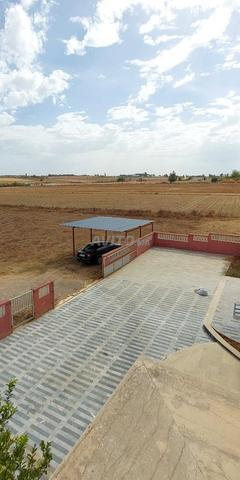 Superbe ferme à vendre près de la ville de Tifelt Sidi Omar - 2