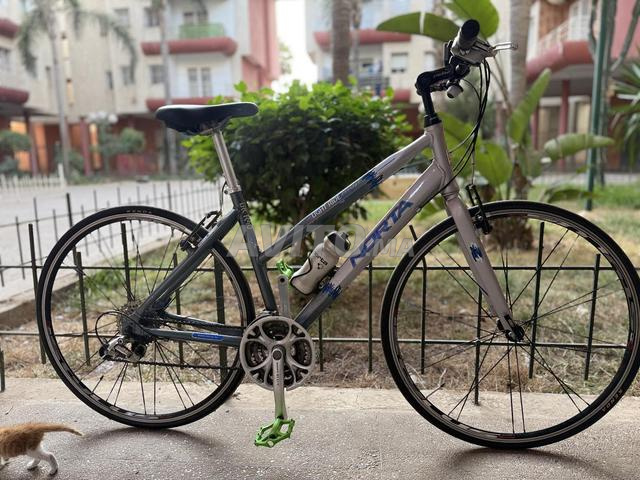 Vélo NORTA - 2