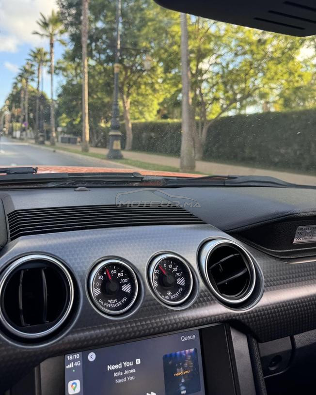 2020 Ford Mustang HPP