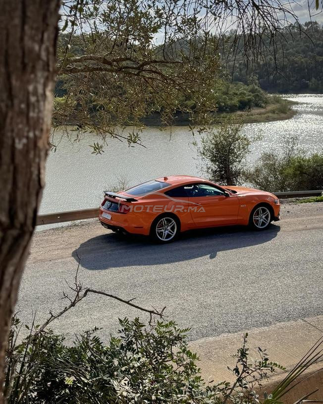 2020 Ford Mustang HPP