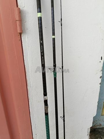 Canne à pêche carbone 4.50 m