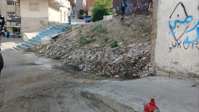 Terrain titré à vendre à bon prix à Ben Dibane