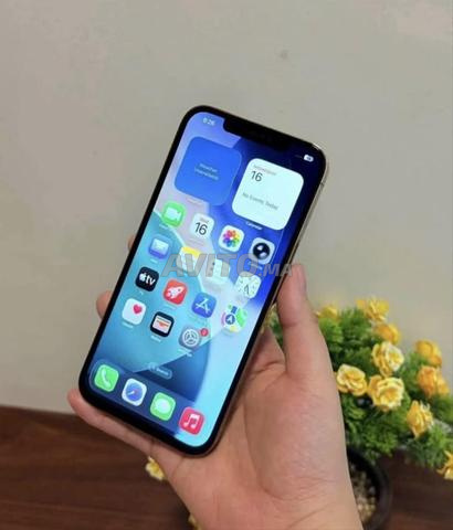 iPhone 12 Pro Max 128Go 90 Litta - 2